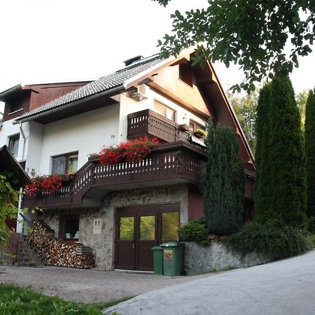 Dream Apartment Brglez Bohinjska Bela Zewnętrze zdjęcie